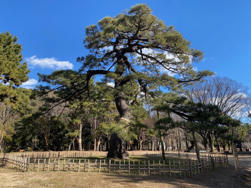 Tokyo, Japan. Image © PlanetSKI